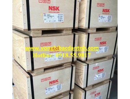 BẠC ĐẠN NSK